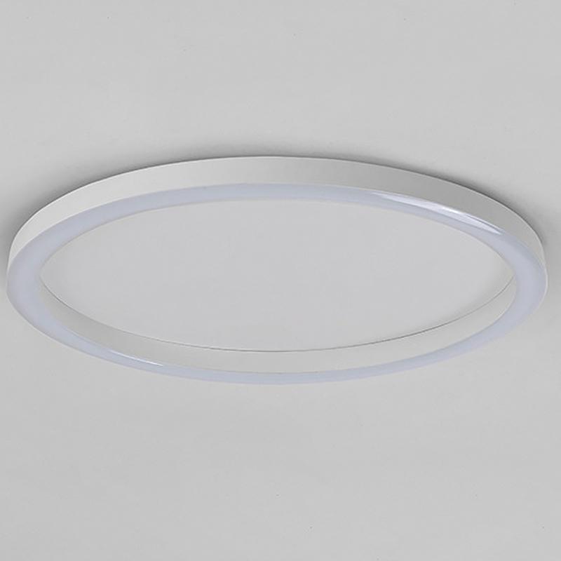 16 Inch Dimmable Round LED Flush Mount Ceiling Light Modern Simple Circle Lamp with Remote Control