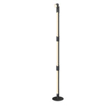 Modern RGB LED Rotating Floor Lamp with Integrated Spotlight and Remote Control for Ambient Lighting