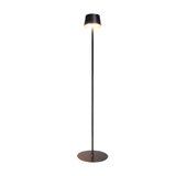 Modern 48.8 Inch Black Rechargeable LED Floor Lamp with Touch Dimming and IP54 Waterproof Rating