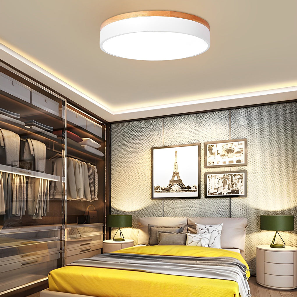 12 Inch Minimalist Round LED Flush Mount Ceiling Lamp for Modern Home Lighting