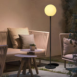 Smart LED Globe Floor Lamp with App Control 16 Color RGB Lighting and Black Metal Finish