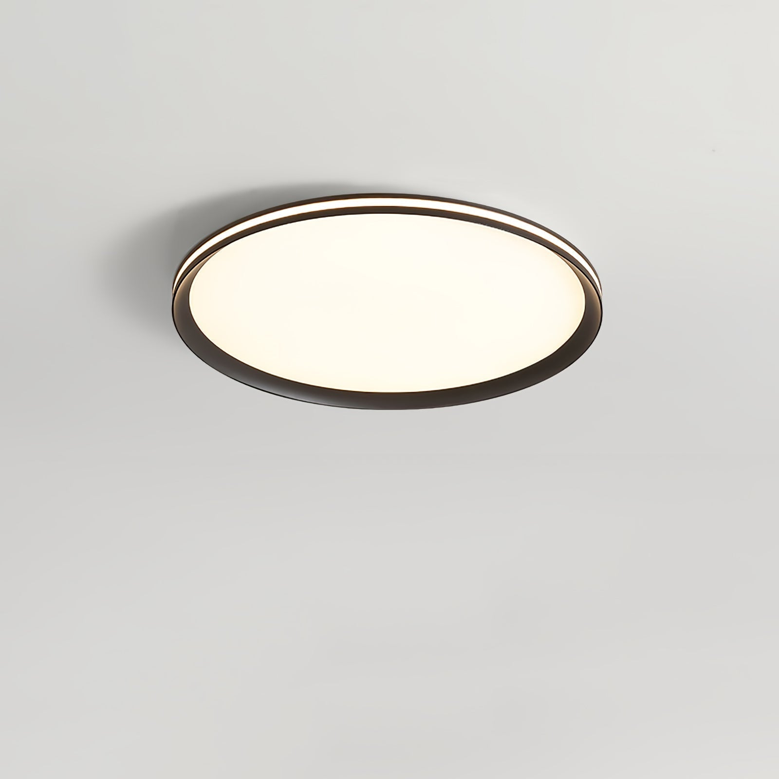 Modern Round Acrylic LED Flush Mount Ceiling Light for Living Room and Kitchen