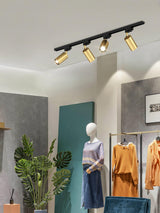Modern Adjustable LED Track Ceiling Light with Rotatable Spotlights for Kitchen and Art Gallery