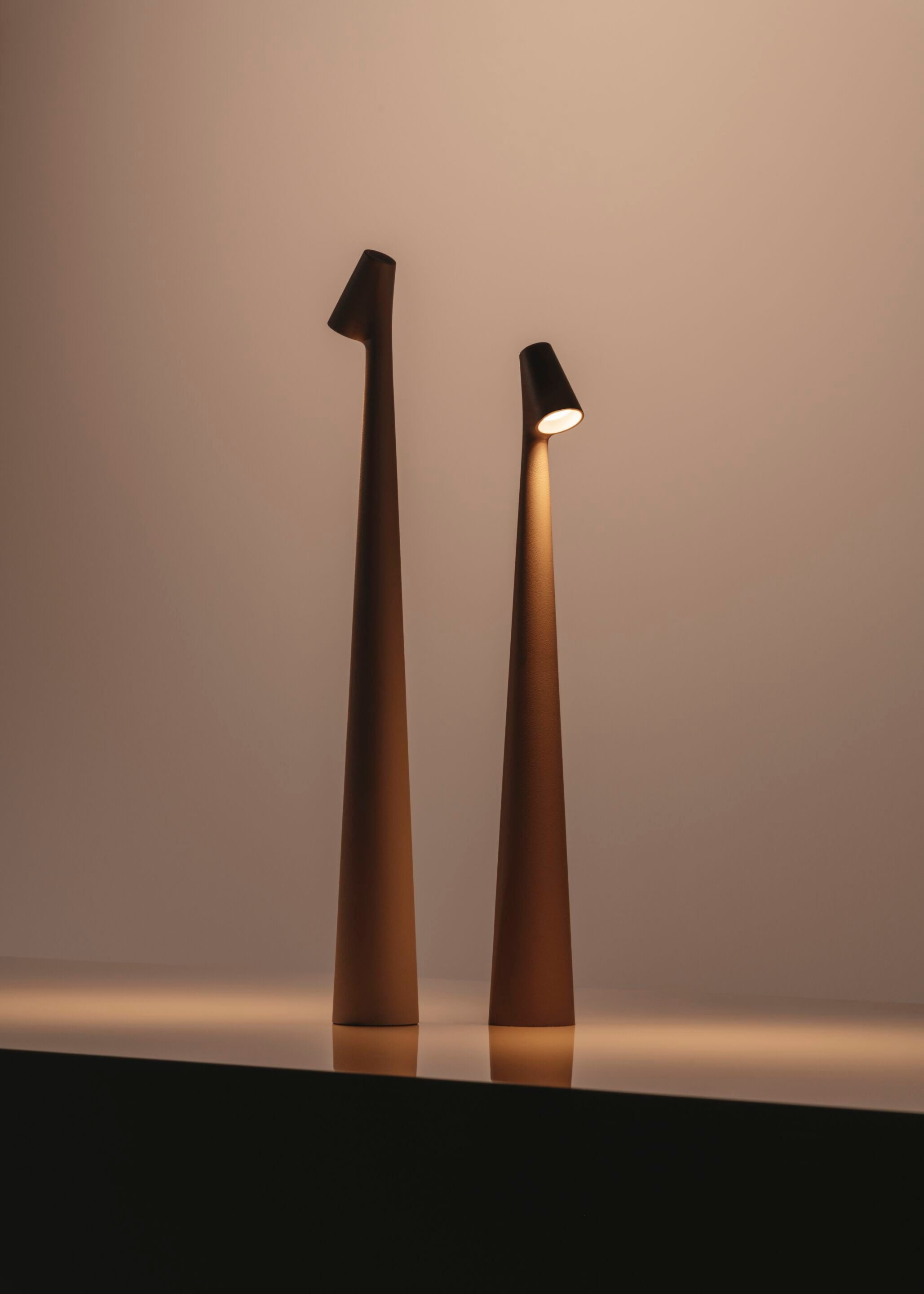 Africa Portable LED Table Lamp Rechargeable Cordless Minimalist Accent Light for Home and Office