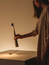 Africa Portable LED Table Lamp Rechargeable Cordless Minimalist Accent Light for Home and Office