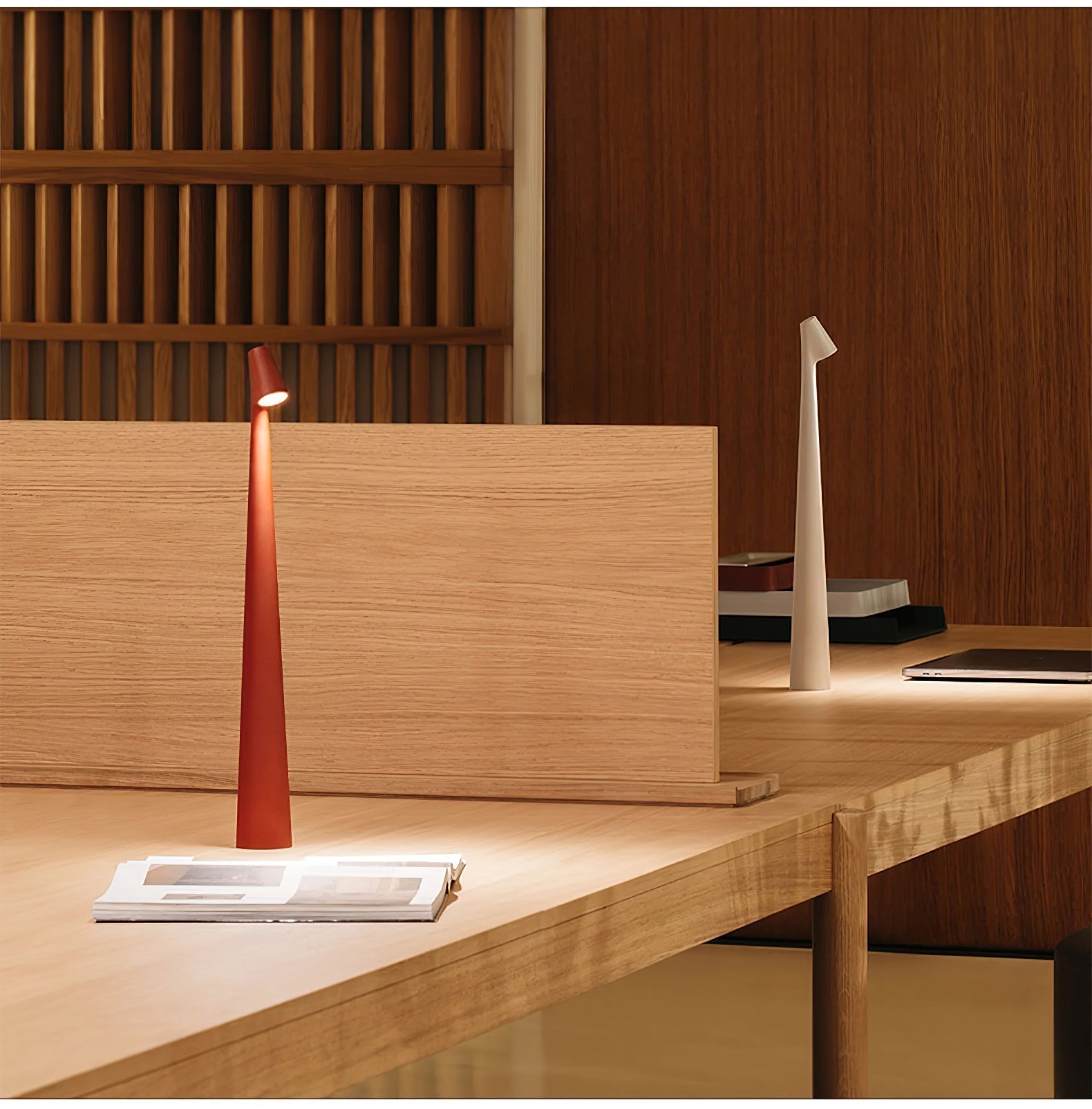 Africa Portable LED Table Lamp Rechargeable Cordless Minimalist Accent Light for Home and Office