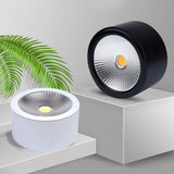 Minimalist Aluminum LED Ceiling Spotlight Surface Mounted Downlight for Residential and Retail Use