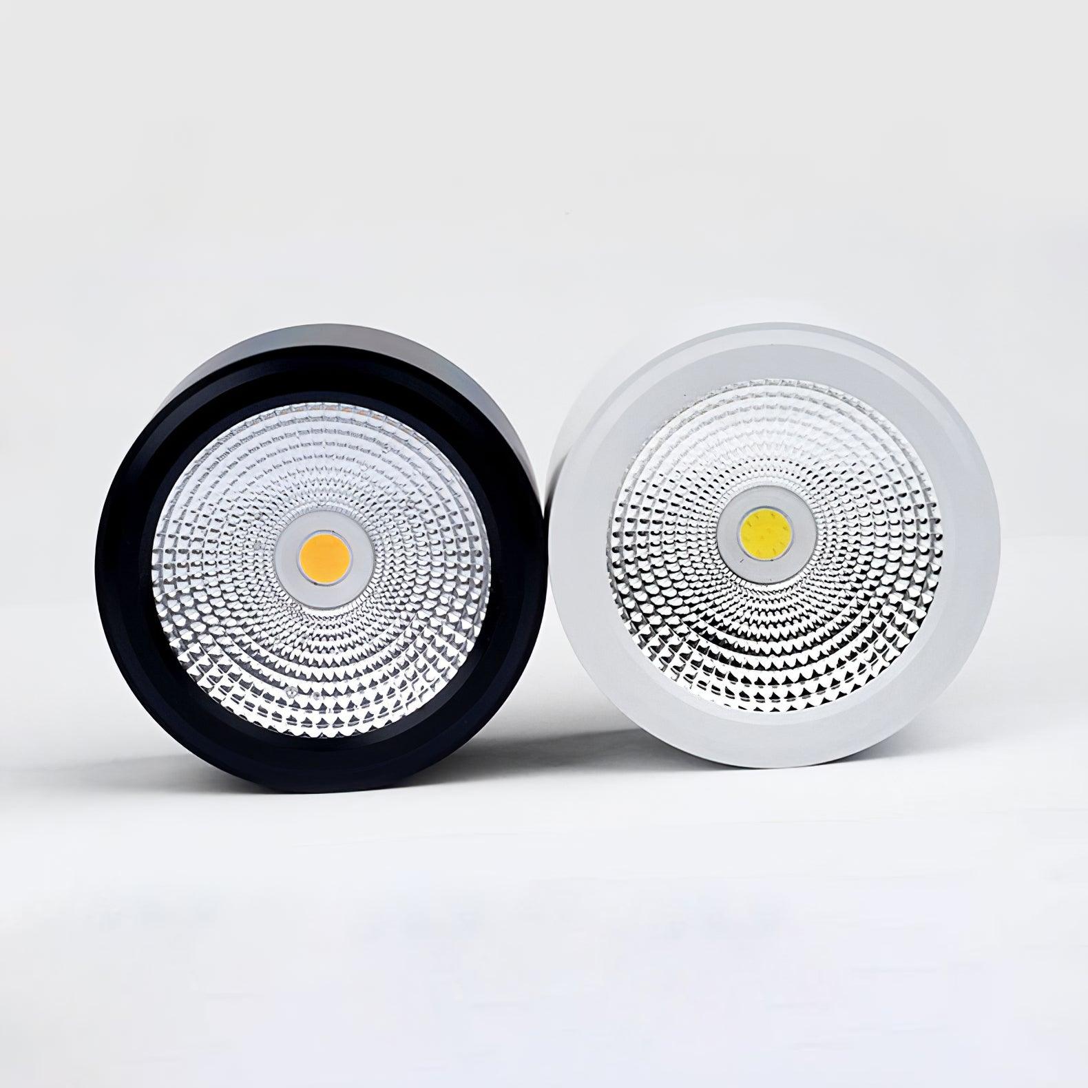 Minimalist Aluminum LED Ceiling Spotlight Surface Mounted Downlight for Residential and Retail Use