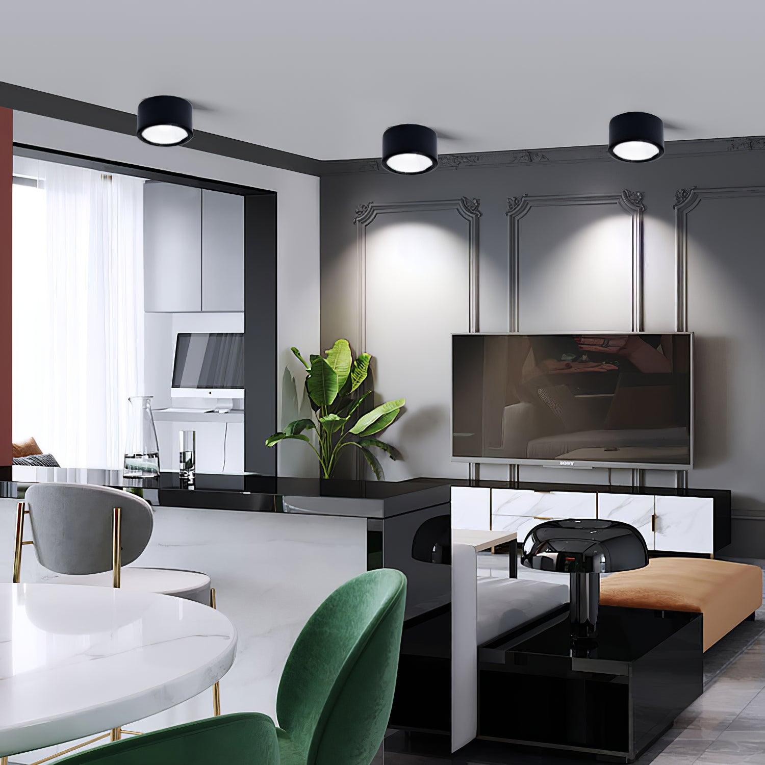 Minimalist Aluminum LED Ceiling Spotlight Surface Mounted Downlight for Residential and Retail Use