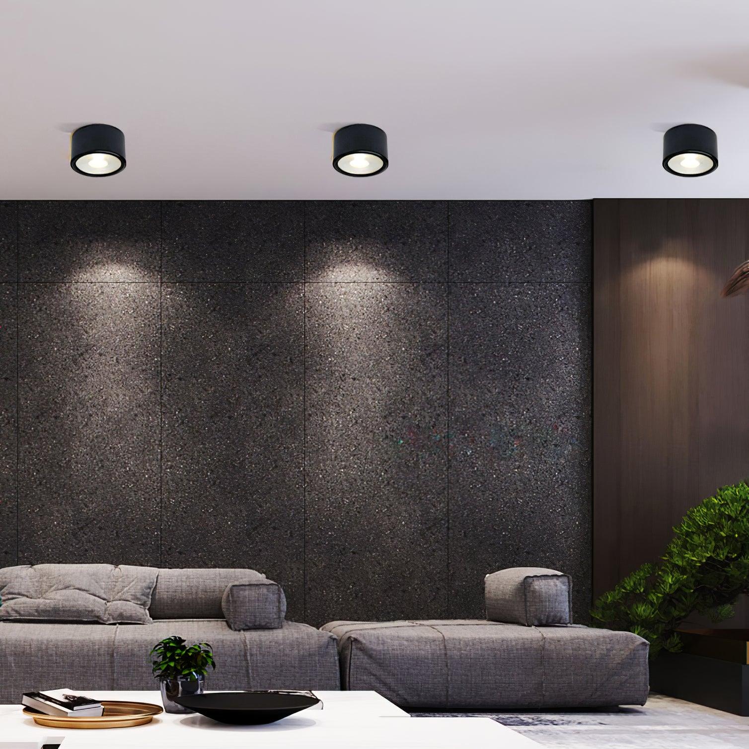 Minimalist Aluminum LED Ceiling Spotlight Surface Mounted Downlight for Residential and Retail Use