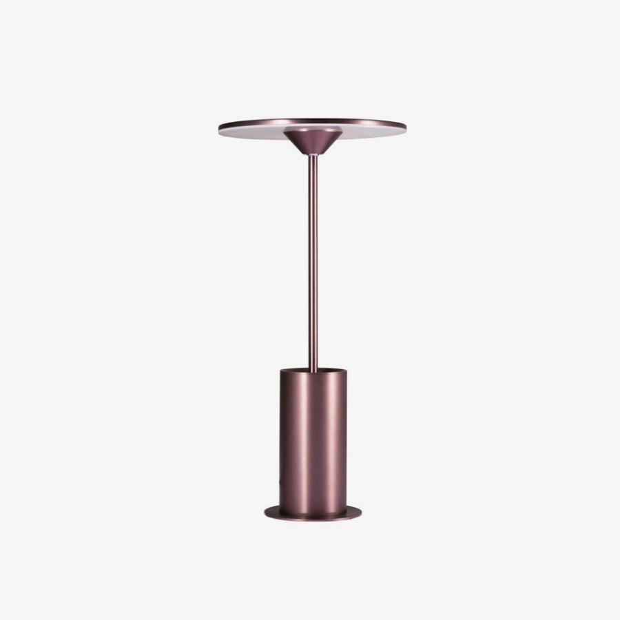 Modern Minimalist Adjustable LED Table Lamp with Stainless Steel Stem for Office and Desk