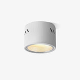 Aven Modern Cylindrical LED Ceiling Mounted Spotlight Aluminum Indoor Task Light