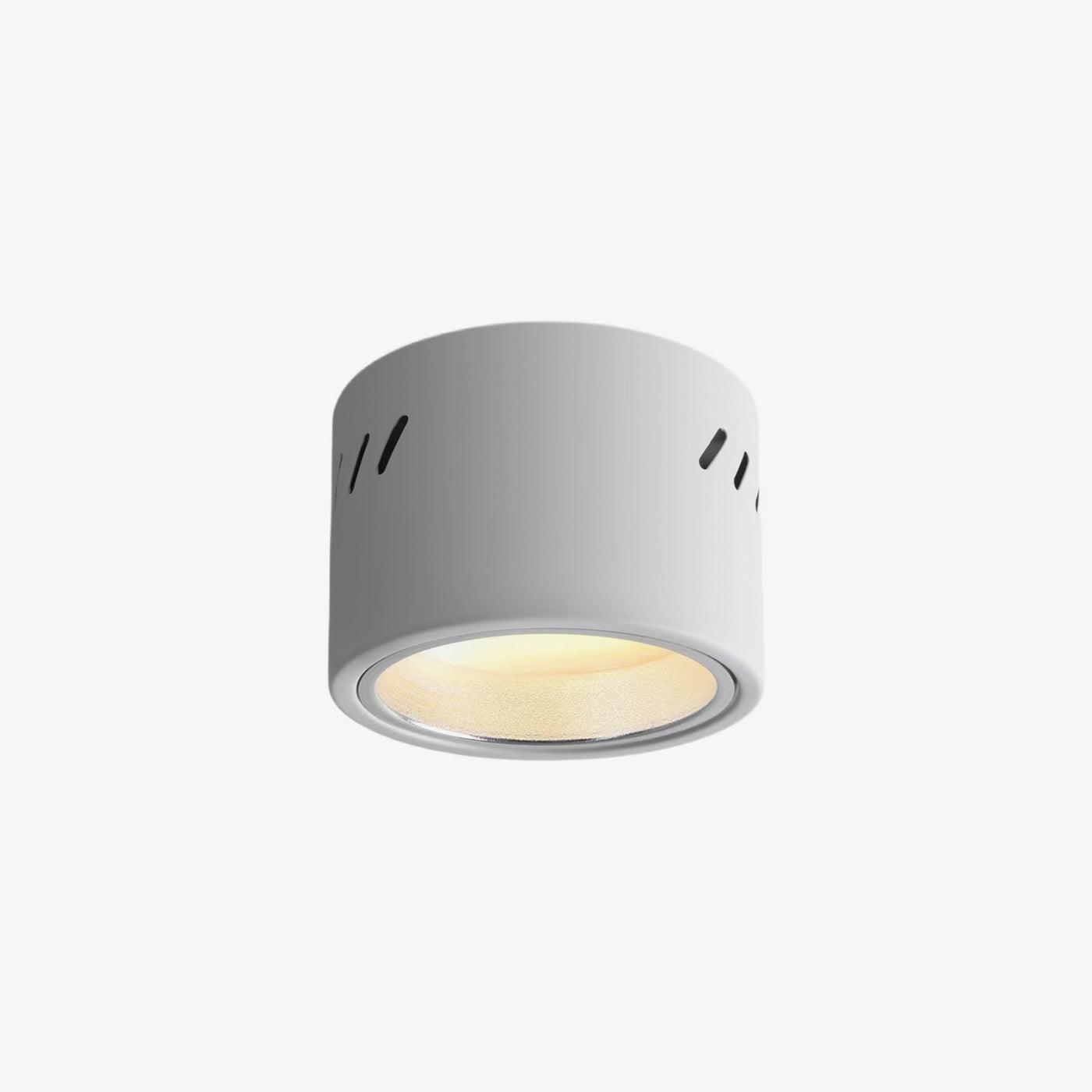 Aven Modern Cylindrical LED Ceiling Mounted Spotlight Aluminum Indoor Task Light