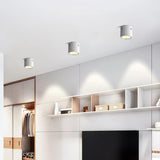 Aven Modern Cylindrical LED Ceiling Mounted Spotlight Aluminum Indoor Task Light