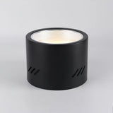 Aven Modern Cylindrical LED Ceiling Mounted Spotlight Aluminum Indoor Task Light