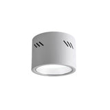 Aven Modern Cylindrical LED Ceiling Mounted Spotlight Aluminum Indoor Task Light
