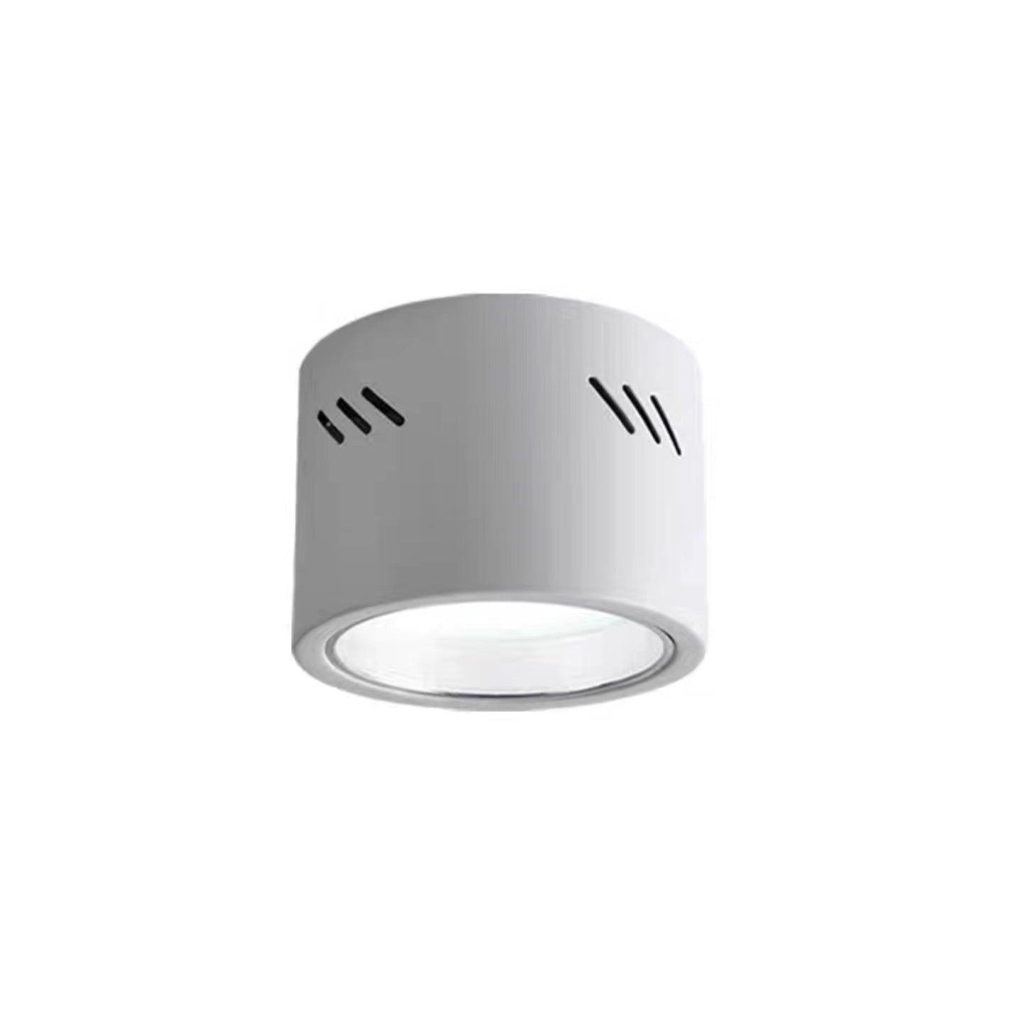Aven Modern Cylindrical LED Ceiling Mounted Spotlight Aluminum Indoor Task Light