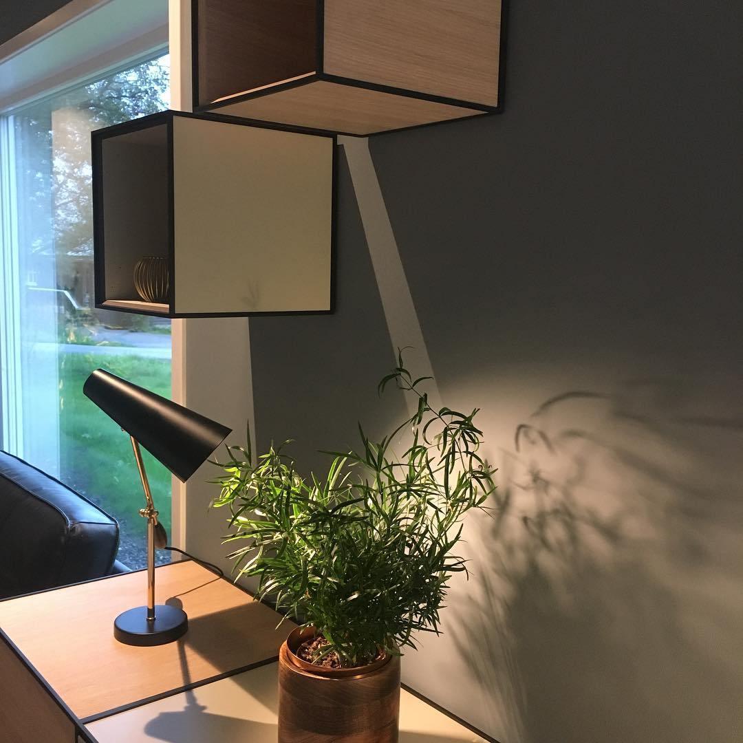 modern-birdy-table-lamp-with-adjustable-arm-and-minimalist-steel-design