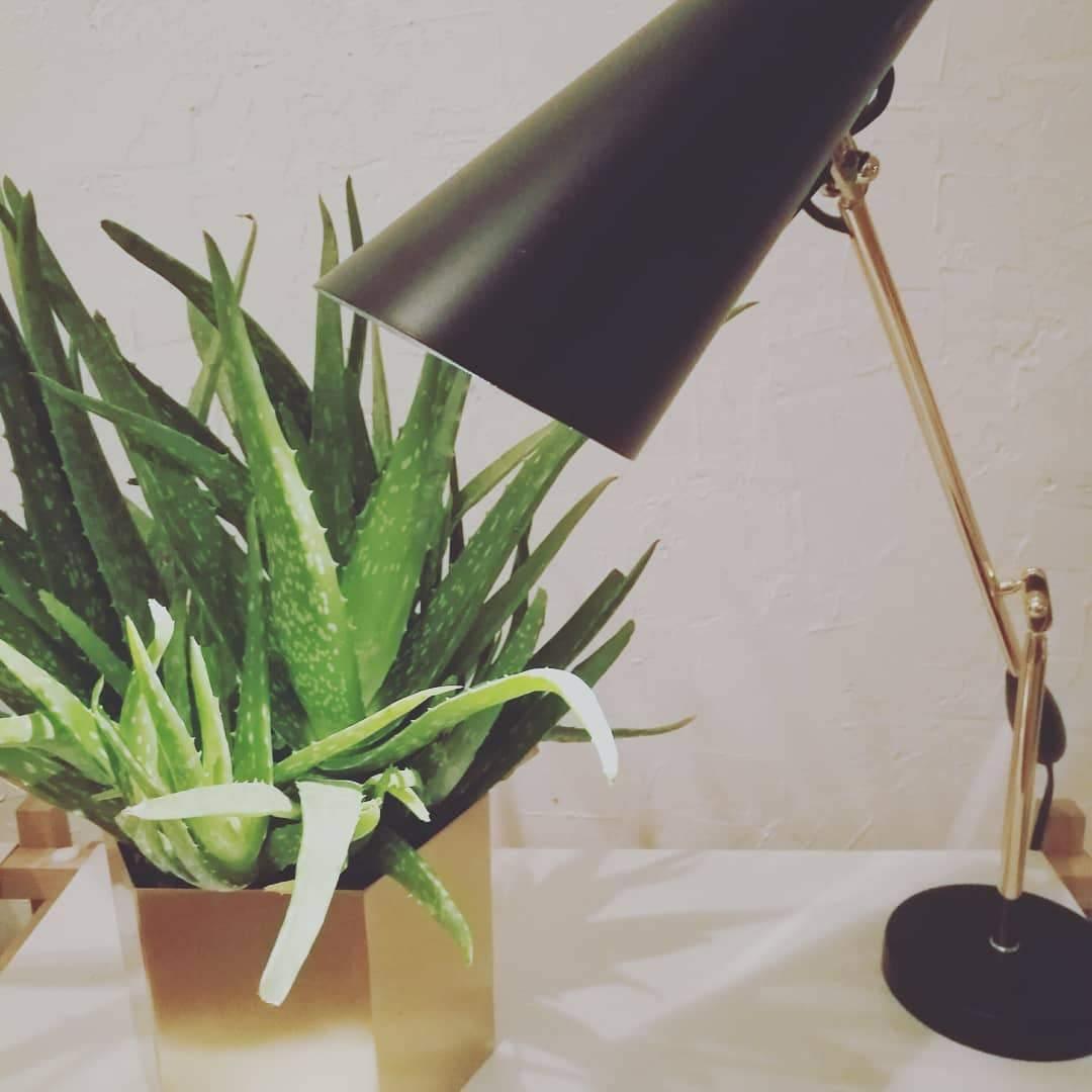 modern-birdy-table-lamp-with-adjustable-arm-and-minimalist-steel-design