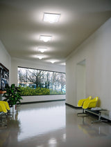 Modern Luminous Bubble Flush Mount Ceiling Light Chrome Stainless Steel LED Fixture