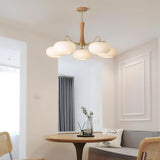 mid-century-modern-brass-and-wooden-persimmon-chandelier-glass-pendant-light