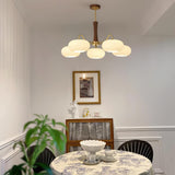 mid-century-modern-brass-and-wooden-persimmon-chandelier-glass-pendant-light
