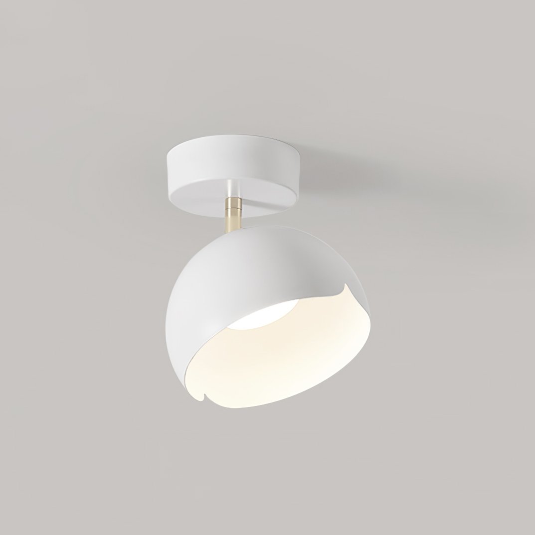 carins-modern-metal-flush-mount-ceiling-lamp-for-kitchen-bedroom-hallway
