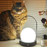 Carrie Portable Rechargeable LED Table Lamp with Built in Battery and Touch Control