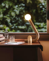 Modern Wood Curled Table Lamp Sculptural Bedside Light for Living Room and Bedroom