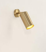 Rotatable Brass Cylinder Spotlight Flush Mount Ceiling Light for Modern Interiors