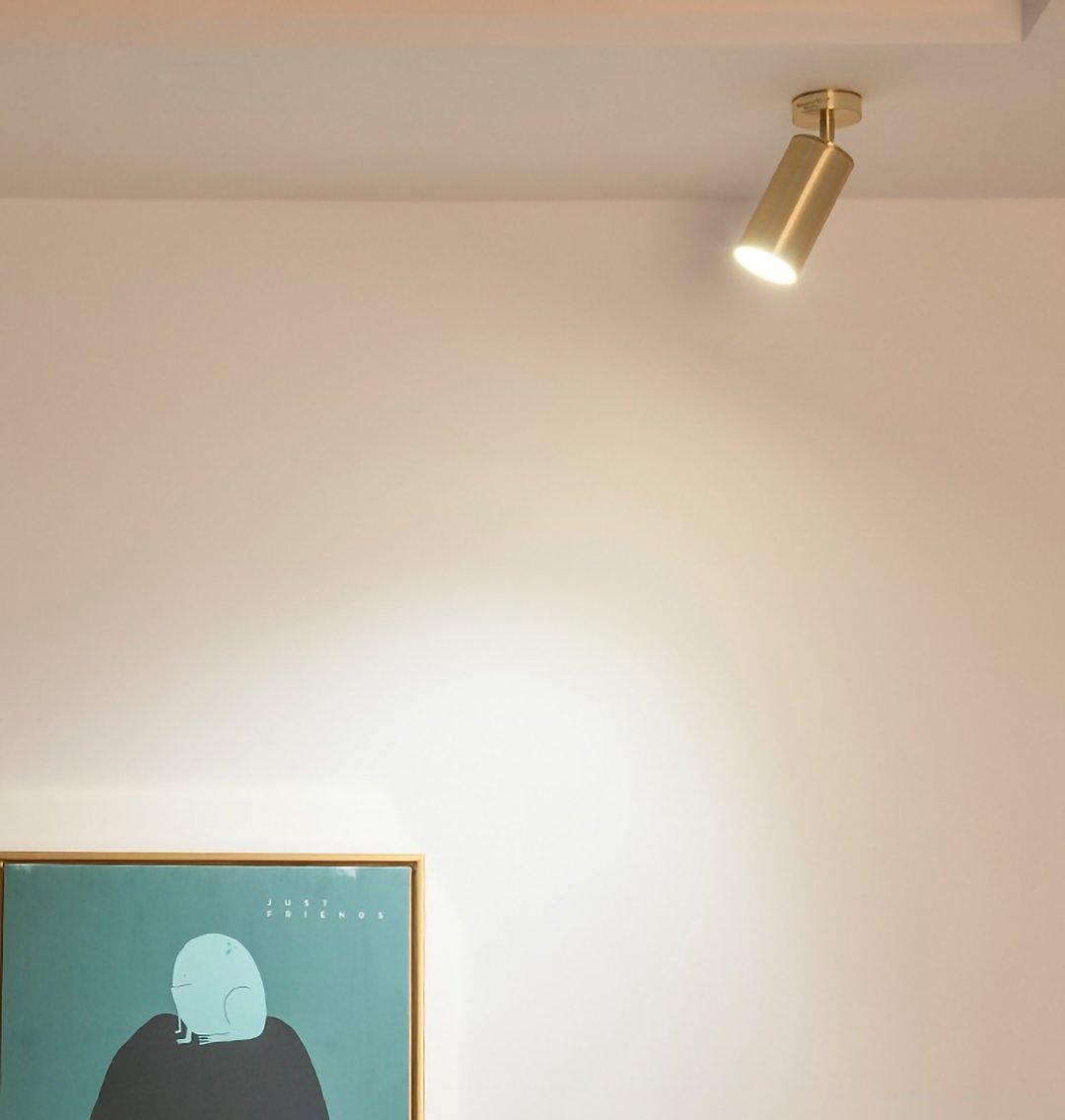 Rotatable Brass Cylinder Spotlight Flush Mount Ceiling Light for Modern Interiors