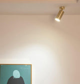 Rotatable Brass Cylinder Spotlight Flush Mount Ceiling Light for Modern Interiors