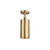 Rotatable Brass Cylinder Spotlight Flush Mount Ceiling Light for Modern Interiors