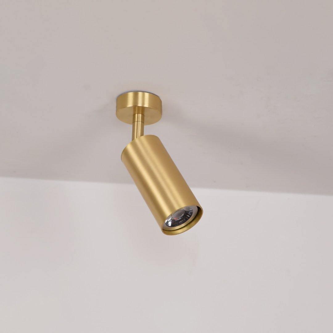 Rotatable Brass Cylinder Spotlight Flush Mount Ceiling Light for Modern Interiors