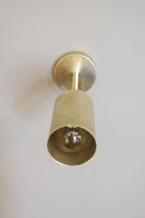 Rotatable Brass Cylinder Spotlight Flush Mount Ceiling Light for Modern Interiors