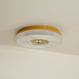Ayla Round LED Flush Mount Ceiling Light Modern Low Profile Metal and Acrylic Fixture for Bedroom Hallway