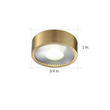 Modern Gold Copper LED Ceiling Light Flush Mount Round Acrylic Lamp for Bedroom Office