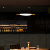 modern-donut-led-pendant-light-with-frosted-acrylic-shade-for-living-room-and-dining-space