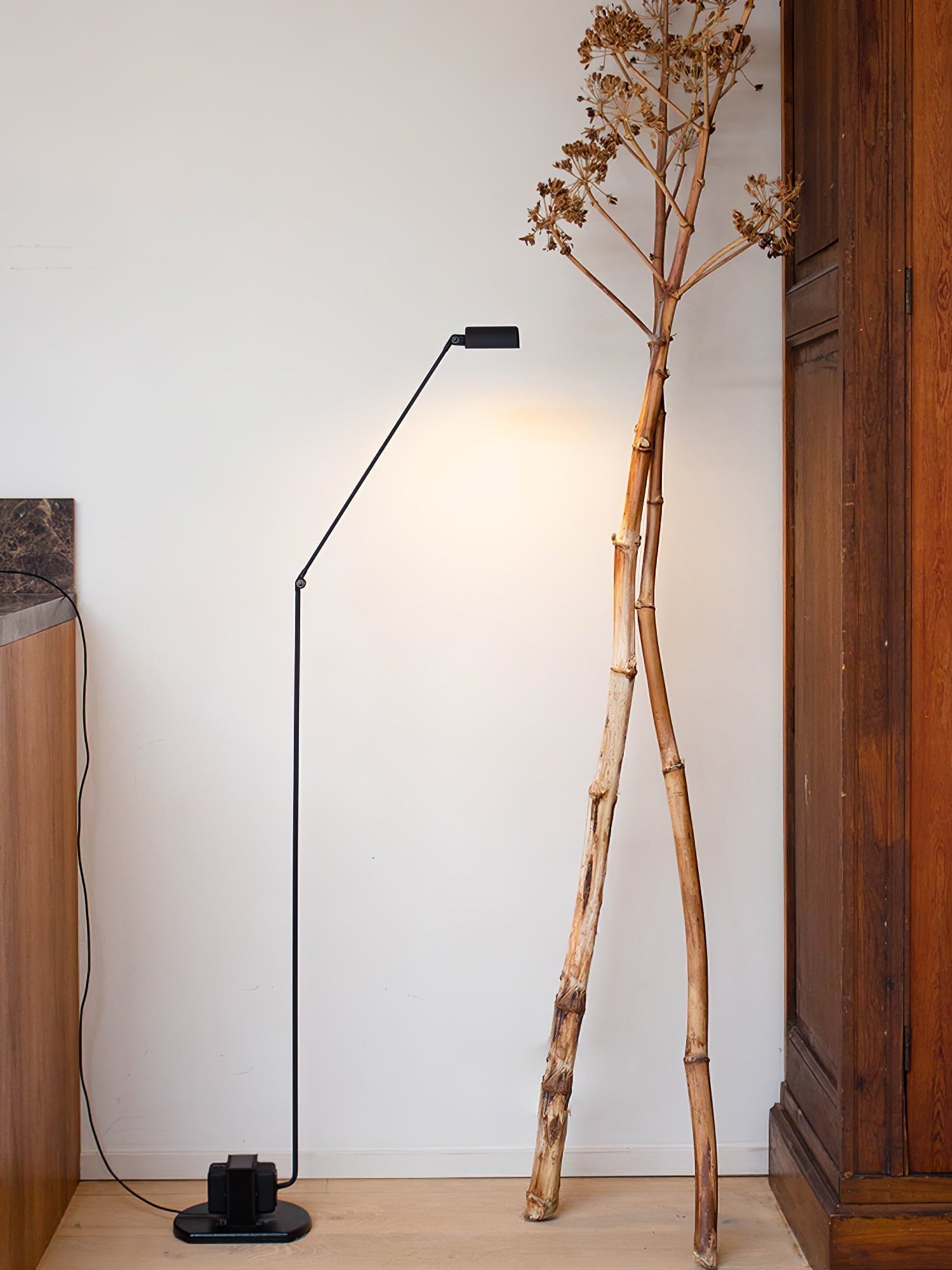 Dynamo Adjustable Arm LED Floor Lamp with Rotating Metal Diffuser and Cylindrical Base Standing Light