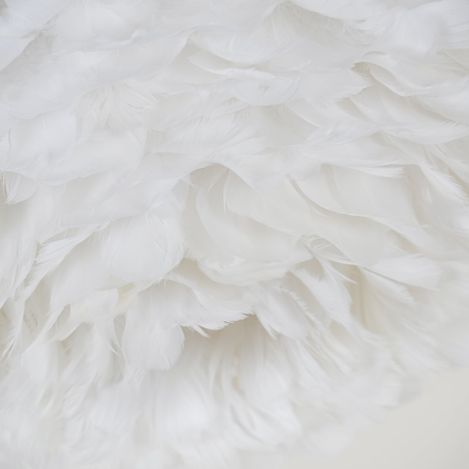 Modern Goose Feather Ceiling Lamp for Bedroom and Living Room Decor
