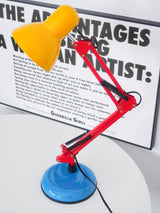 Colorful Multi Jointed Adjustable Arm Desk Lamp for Reading and Study Area Lighting