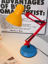 Colorful Multi Jointed Adjustable Arm Desk Lamp for Reading and Study Area Lighting