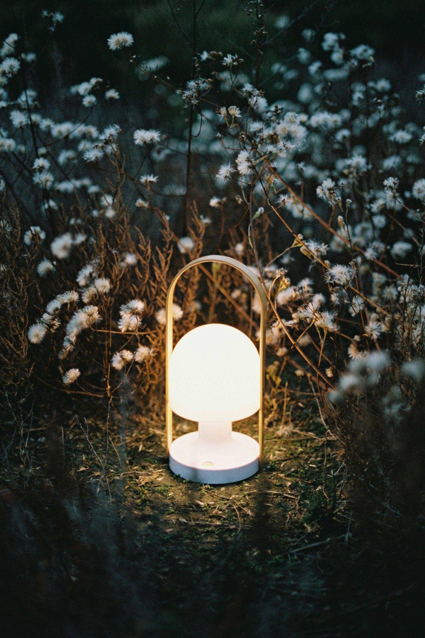 Portable Rechargeable Glass Bedside Table Lamp with Adjustable Tilting Shade and Wood Finish