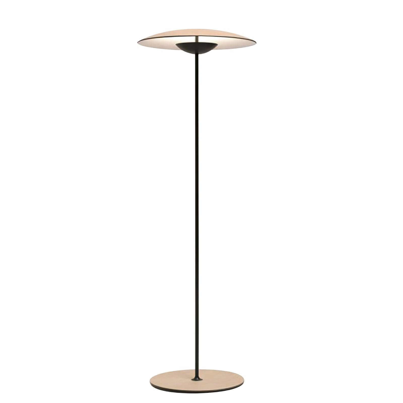 Modern Adjustable LED Floor Lamp with Directional Suspension and Aluminum Frame