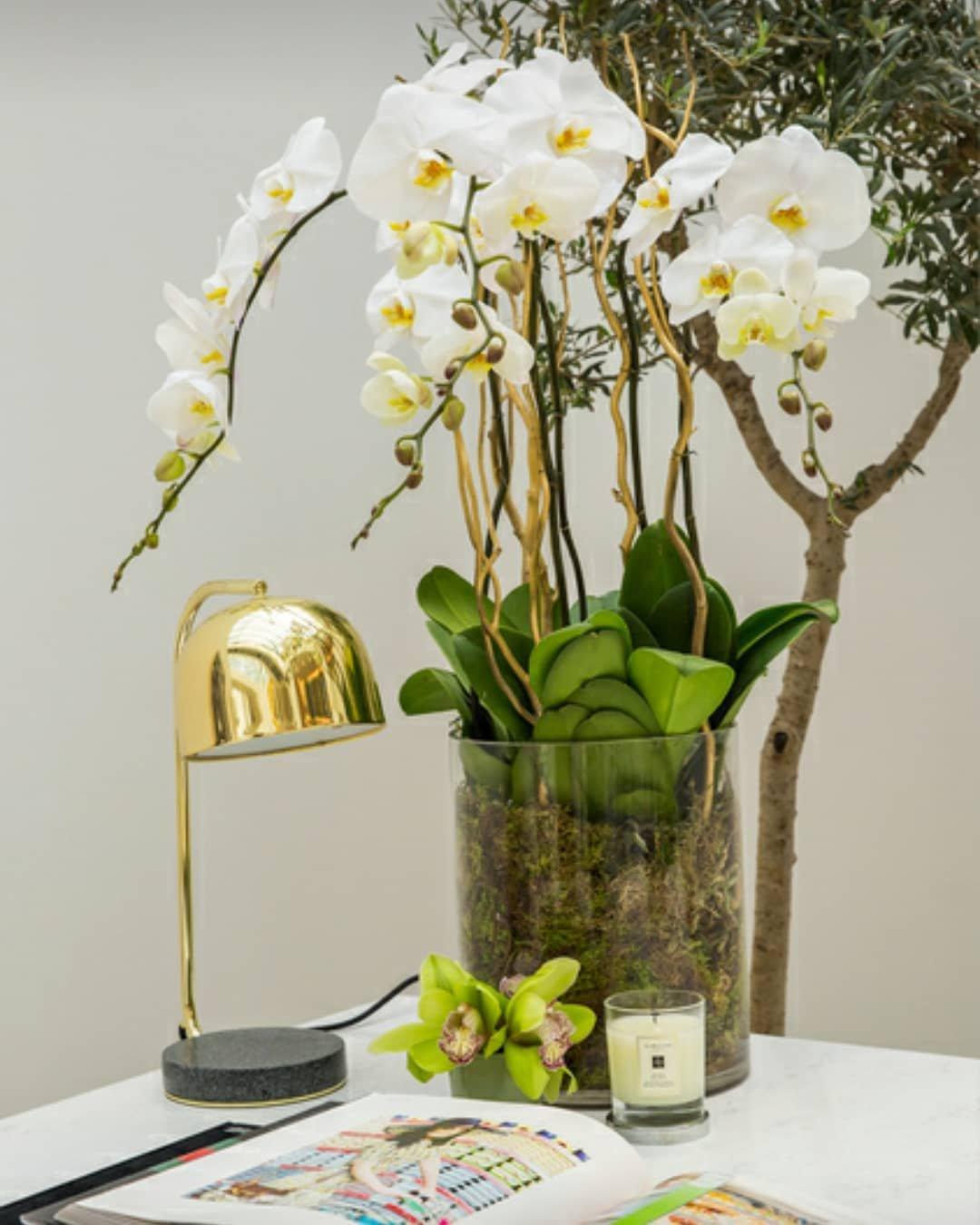 Grant Modern Marble Base Table Lamp with Adjustable Tilt Metal Shade for Bedside and Living Room