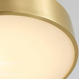 Modern Minimalist Hero Rotating LED Ceiling Light with Brass Finish and Adjustable Illumination
