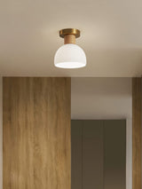 modern-horn-shaped-small-ceiling-lamp-with-wood-accents-and-glass-shade
