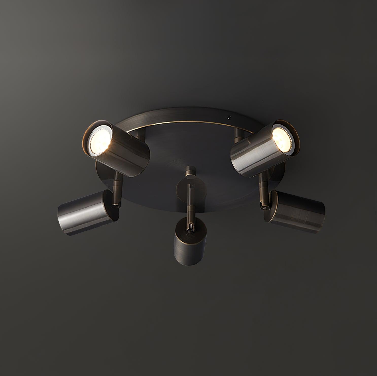 Hugo Hotspot Modern Adjustable Multi Head Flush Mount Ceiling Spotlight in Brass or Black