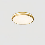 Jameson Modern Slim LED Flush Mount Ceiling Light Brass and Acrylic Fixture