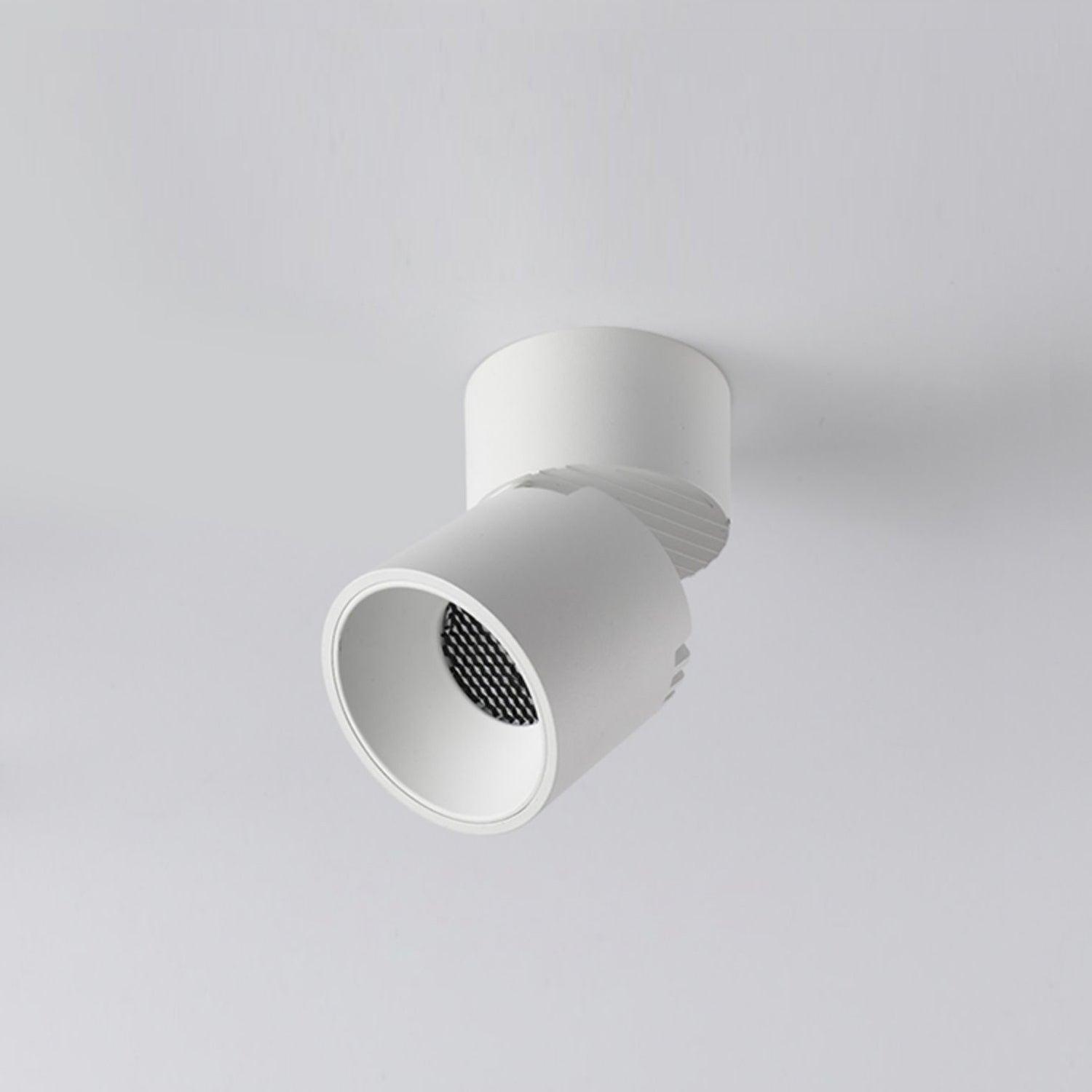 Lara2 Adjustable LED Ceiling Downlight Modern Aluminum Surface Mounted Spotlight